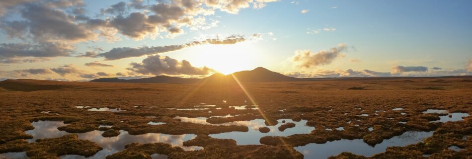 Sunset over peatland