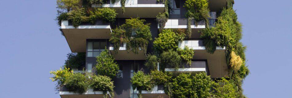 Building with plants growing on the facade