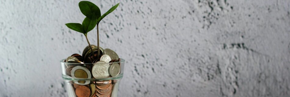 Plant in cup with coins