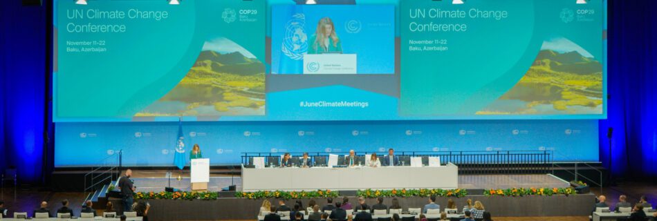 Bonn climate change conference 2024