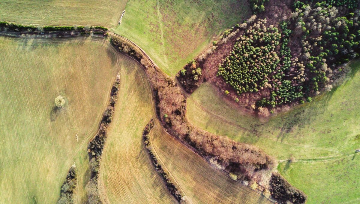 Aerial field view