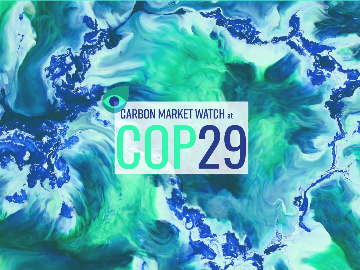 COP29